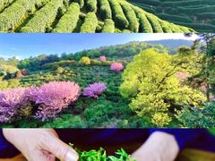 -西山风景区