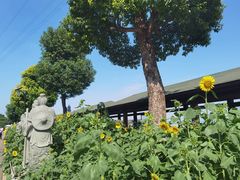 -仙岳公园