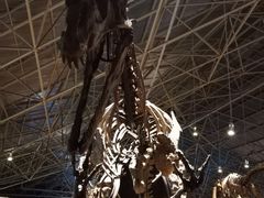 景点-世界恐龙谷景区