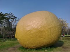 -顺峰山公园