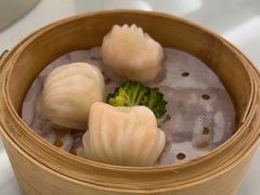 -圣丰城酒家·宴会(宝安大仟里店)