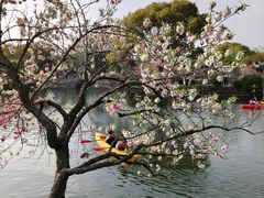 -无锡蠡湖国家湿地公园-蠡园