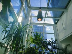 -大树餐厅(红旗街万达店)