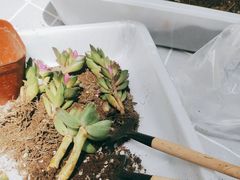-鹏欣水游城