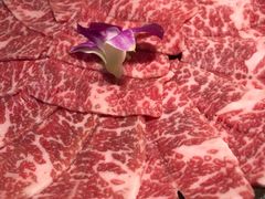 -养心殿台式养生锅(铜锣湾店)