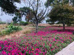 -良渚古城遗址公园