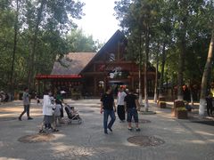 -合肥滨湖国家森林公园