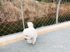 -南昌青山湖风景区