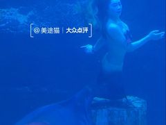 -太平洋海底世界