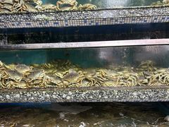 -新农都水产市场