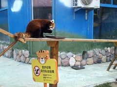 -栾川竹海野生动物园