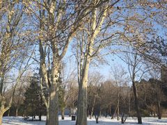 -国家植物园南园