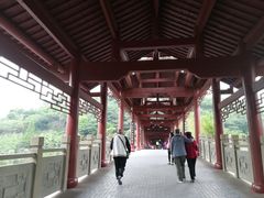 -重庆彩云湖湿地公园