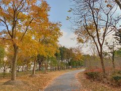 -浦星公路-路侧停车位