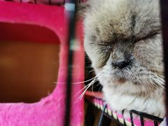 -苏州人家(锦溪镇店)