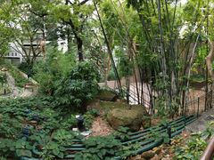 -香港大学