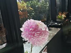 -味钱塘·钱塘渔鲜·地道江浙菜(宋城店)