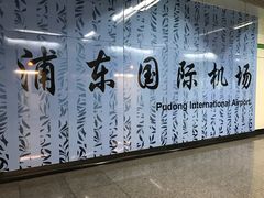 -浦东1号2号航站楼(地铁站)