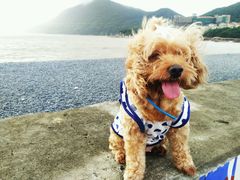 -乌石塘景区