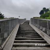 一个人吃的茶餐厅