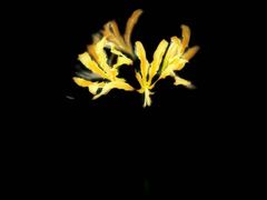 -王繁星面馆(西安熙地港店)