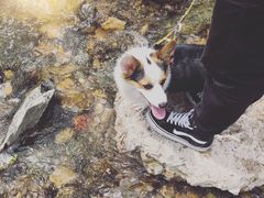 -白河湾生态旅游一条川