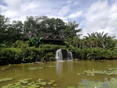 -中国科学院西双版纳热带植物园