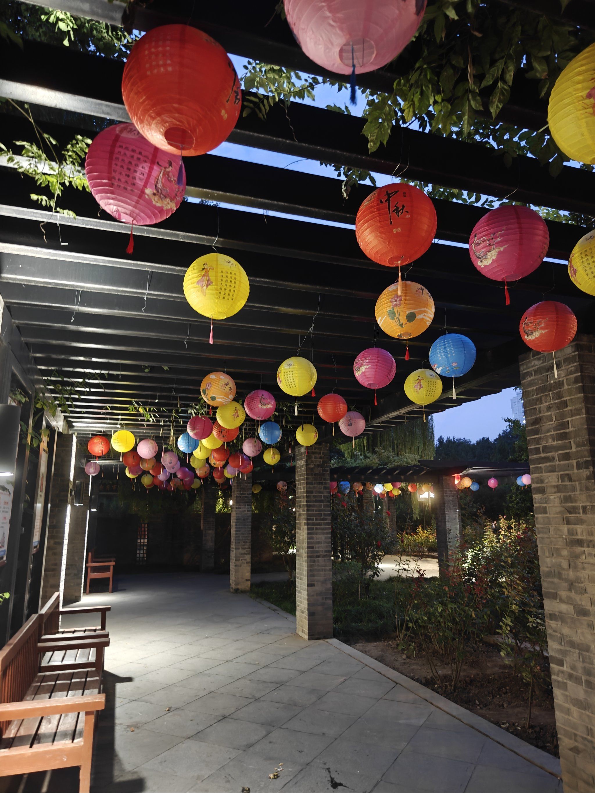 灯笼映照竹间情