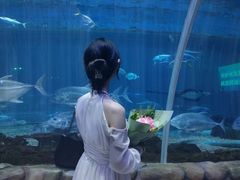 -华夏文旅海洋公园