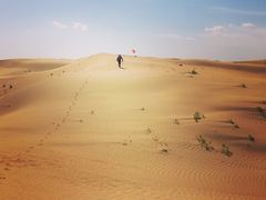 景点-恩格贝生态旅游区