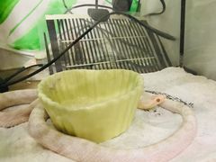 -藦茜花园宠物主题亲子互动体验馆(国顺东路店)