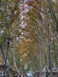 -YUEYAR PHOTO摄影