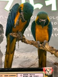 -Zoolung Zoolung动物主题公园(海信广场店)