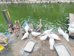 -香山小厨(南联路店)