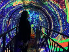 -成都梵高星空艺术馆(春熙路旗舰店)