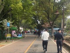 -团城山公园