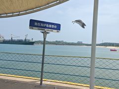 -海驴岛(荣成市)