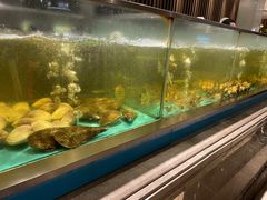 -海天盛宴海鲜自助(正大广场店)