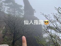 -黄山风景区