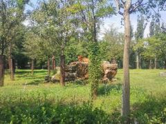 -秦皇岛野生动物园
