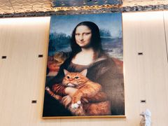 -飞行喵MR PILOT|猫舍·猫咖(静安大融城店)