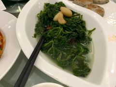 桑叶-粤西稻里(富力路店)