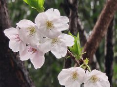 -莹珠阁·私房菜