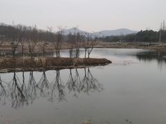 -佛手湖郊野公园