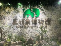 -野象谷景区