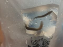 -青岛东方影都融创水世界