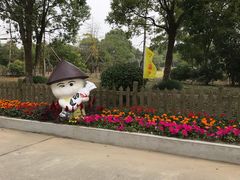 -上海都市菜园