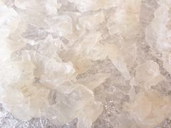 -荔城生鲜盛宴(番禺旗舰店)