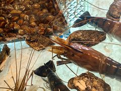 -Ministry of Crab(科伦坡店)