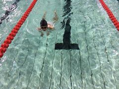 -奥林匹克体育中心游泳馆